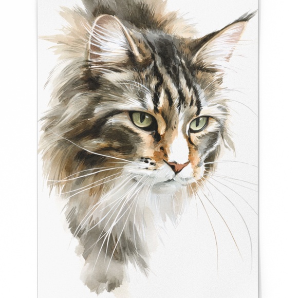 Watercolor Maine Coon Cat Illustration Wall Art Print Unframed - Picture 3 of 7